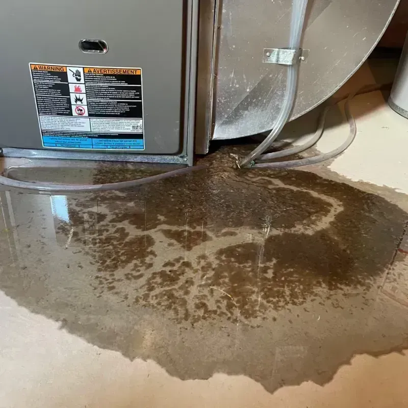 Appliance Leak Cleanup in Marion, IL